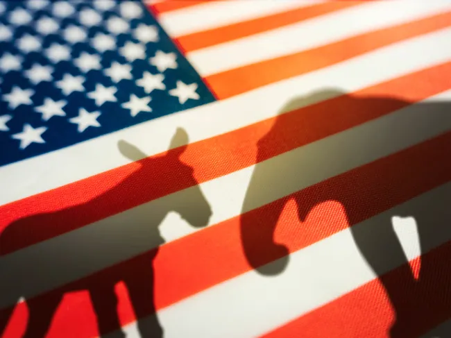elephant and donkey on american flag